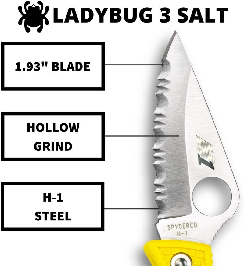 Spyderco Ladybug 3 Salt Folding Pocket Knife with 1.9" H-2 Steel Blade and FRN Handle - EDC Knife for Men and Women, Perfect for Hunting, Tactical, Camping, Survival, Hiking - PlainEdge - LYLP3 - Image 3